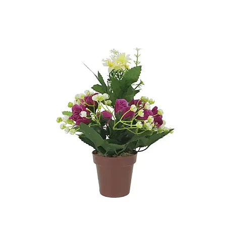 images/uploads/21871/thumb_1-1319 SE KAFE-D.webp